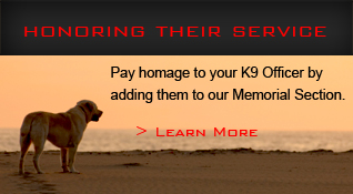 Honoring Their Service