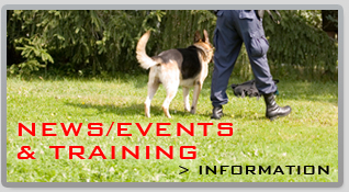 News - Evens - Training News - Evens - Training