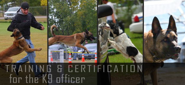 Uspca k9 best sale